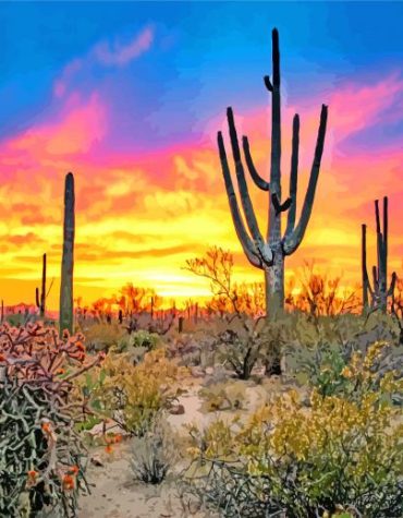 Arizona Landscapes Sunset Paint By Numbers