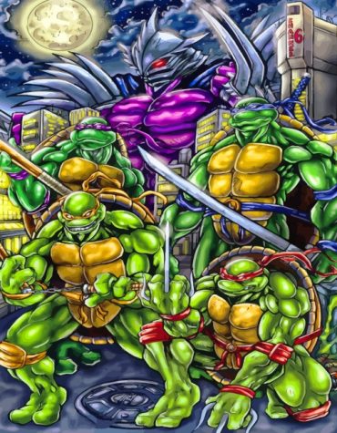 Teenage Mutant Ninja Turtles Heroes Paint By Numbers