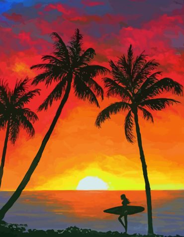 Surfer Silhouette Paint By Numbers