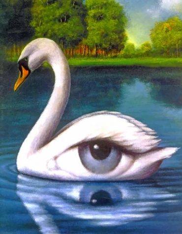 Surreal Swan Eye Paint By Numbers