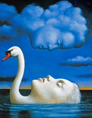 Swan and Cloud Fantasy Paint By Numbers