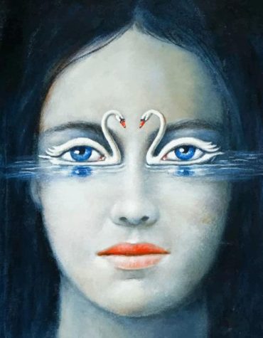 Surreal Swans Faces Paint By Numbers