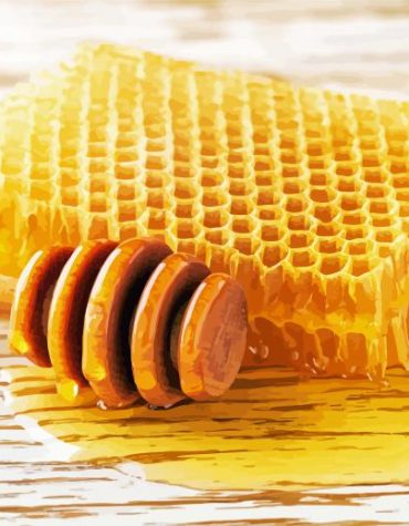 Golden Honey Hive Paint By Numbers