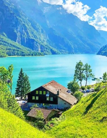 Swiss Nature Paint By Numbers