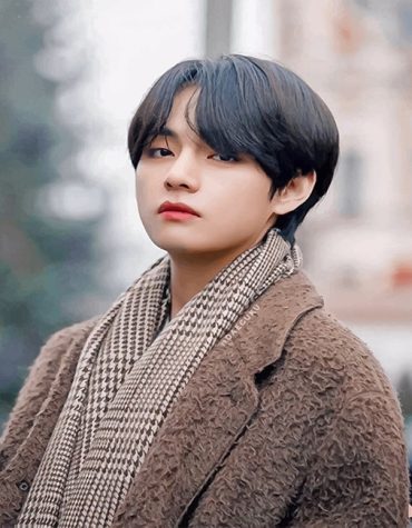 Taehyung BTS Kpop Idol Paint By Numbers