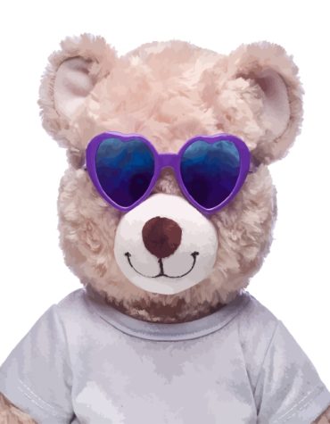 Teddy Bear with Sunglasses Paint By Numbers