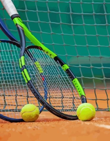 Tennis Game Essentials Paint By Numbers