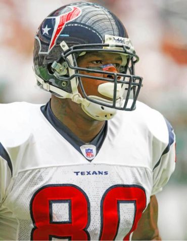 Texans Football Star Paint By Numbers