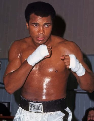 Muhammad Ali Boxing Legend Paint By Numbers