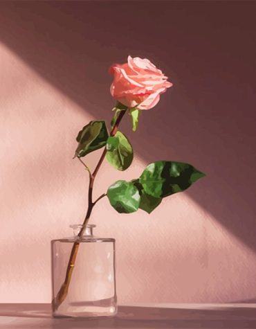 Pink Flower Shadow Paint By Numbers