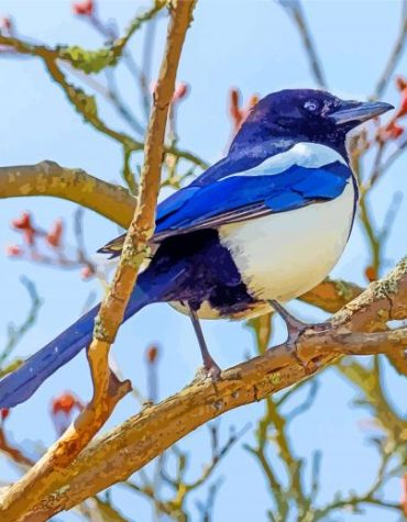 Majestic Magpie Paint By Numbers