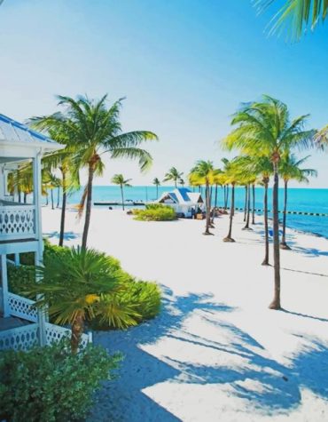 Sunny Florida Beach Paint By Numbers