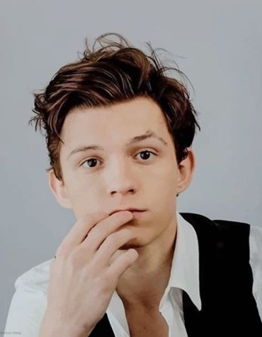 Tom Holland Celebrity Paint By Numbers