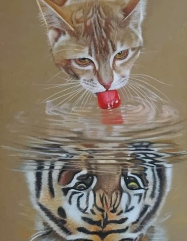 Tiger Water Reflection Paint By Numbers