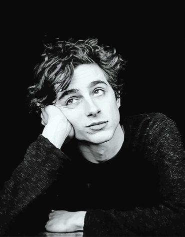 TImothee Chalamet Movies Paint By Numbers