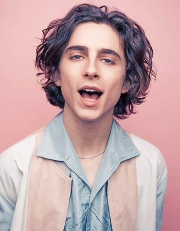 Timothee Chalamet Fashion Paint By Numbers