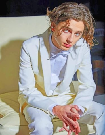 Timothee Chalamet White Suit Paint By Numbers