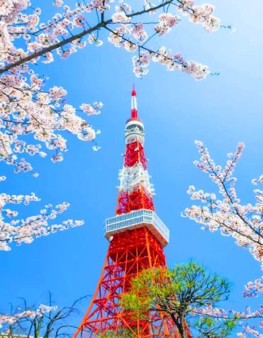 Tokyo Skyline Towers Paint By Numbers