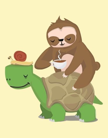 Tortoise and Turtle Animals Paint By Numbers