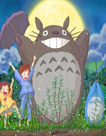 Studio Ghibli Totoro Paint By Numbers