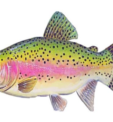 Trout Fish Art Paint By Numbers