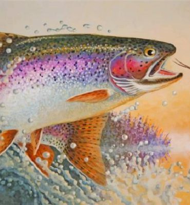 Colorful Rainbow Trout Experience Paint By Numbers