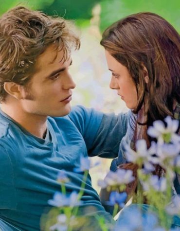 Twilight Romance Scene Paint By Numbers