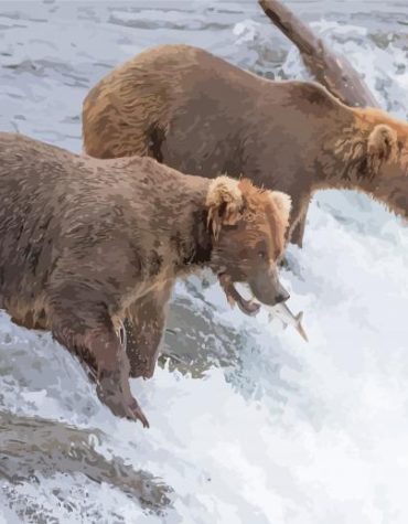 Brown Bears in Waterfall Paint By Numbers