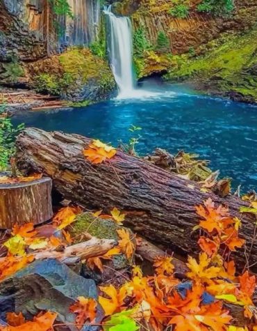 Umpqua Forest Landscape Paint By Numbers