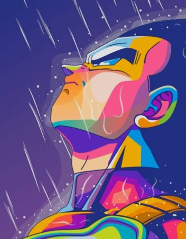 Vegeta Saiyan Anime Paint By Numbers