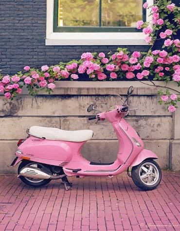 Vespa Pink Flowers Paint By Numbers