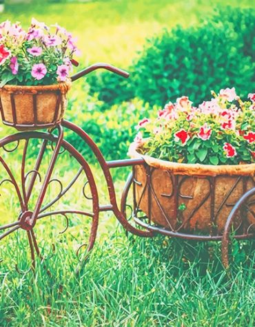 Vintage Bicycle in Nature Paint By Numbers