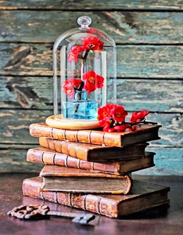 Vintage Books Collection Paint By Numbers