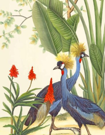 Black Crowned Crane Bird Paint By Numbers