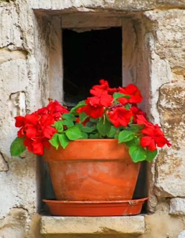 Vintage Red Flower Designs Paint By Numbers