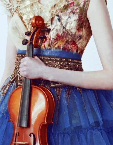 Vintage Violin Music Enthusiast Paint By Numbers