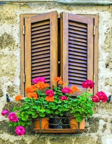 Vintage Plant Pots Paint By Numbers