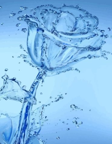 Rose Water Drop Aesthetic Paint By Numbers