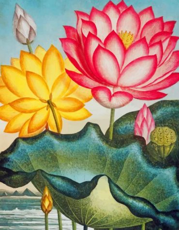 Water Lily Floral Paint By Numbers