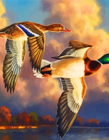 Waterfowl Birds Animal Paint By Numbers