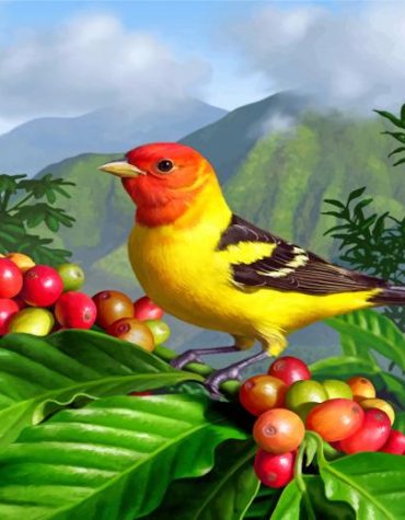 Western Tanager Bird Paint By Numbers