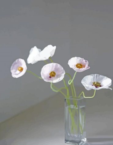White Poppies Vase Paint By Numbers