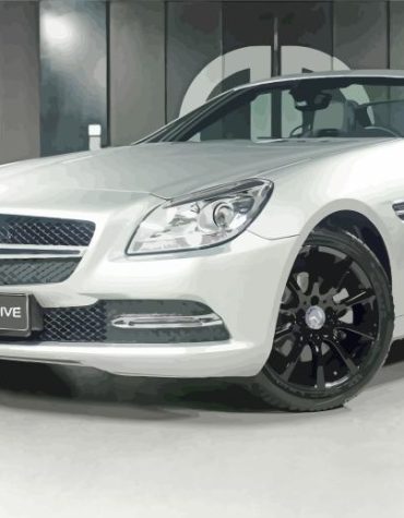 Mercedes SLK Exotic Car Paint By Numbers