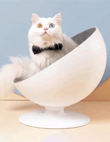 White Cat Resting Paint By Numbers