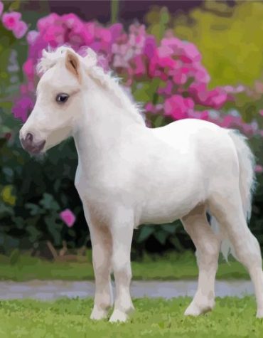 White Mini Horse Magic Paint By Numbers