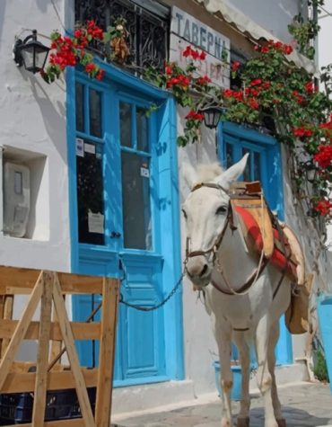 Charming Greek Donkey Paint By Numbers