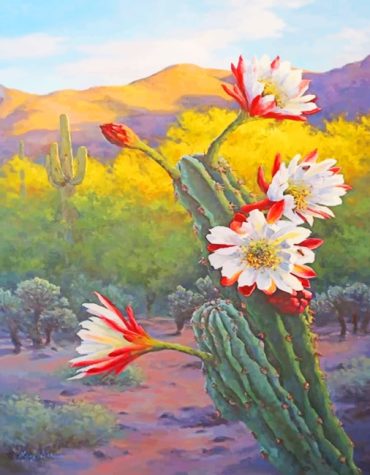 Colorful Cactus and Flowers Paint By Numbers
