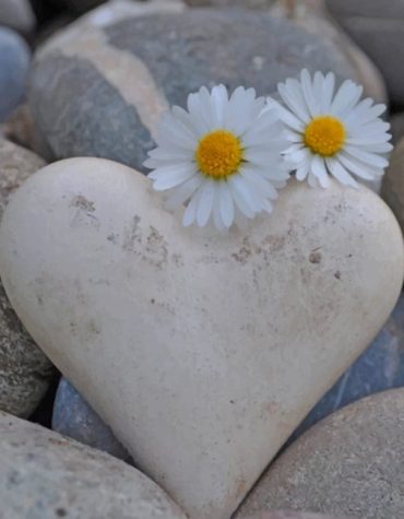 White Flowers Heart Paint By Numbers