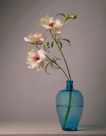 White Flowers Painting In Blue Vase Paint By Numbers