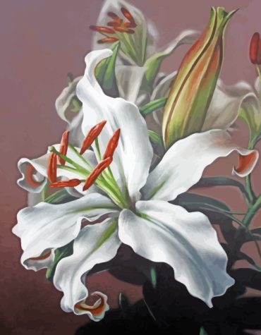 White Magnolia Flowers Paint By Numbers